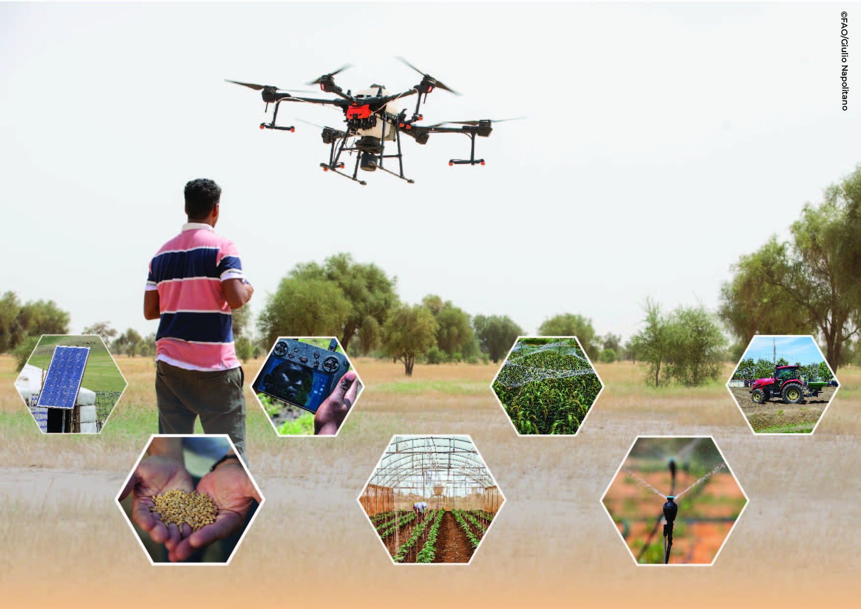 Aprovechar la ciencia, la tecnología y la innovación es fundamental para la transformación de nuestros sistemas agroalimentarios.